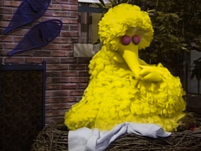 Big Bird asleep in his nest.