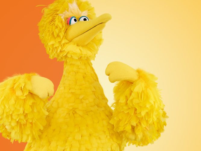 Big Bird holding a pose.