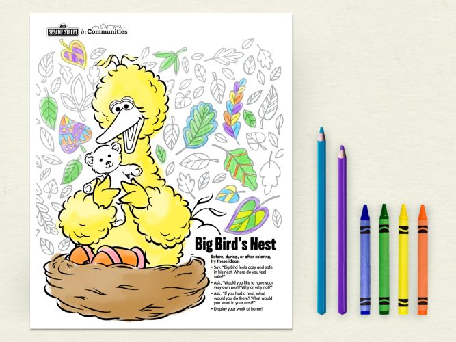 Color Big Bird’s Nest